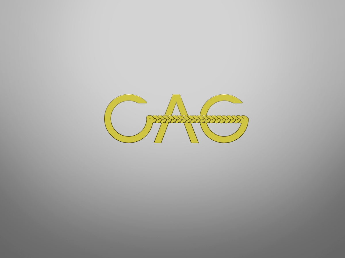 Logo-Design von studio-sfp.com für dieses Projekt | Design #986299
