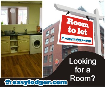 Banner-Design von Koki ProDigy für Ironbit Ltd | Design #991098