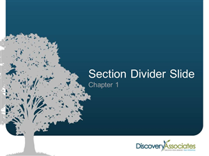 Design de PowerPoint par megbrinley pour Discovery Associates, LLC | Design : #3820108