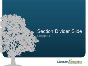 PowerPoint Design by megbrinley for Discovery Associates, LLC | Design: #3870820