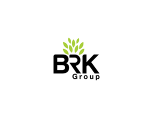 Logo Design by Anesya