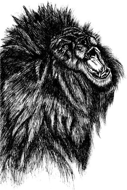 T-shirt Design by aseloleh for this project | Design #3862633