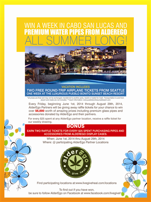 Summer Promotion Campaign & Poster | Poster Design by cb1318