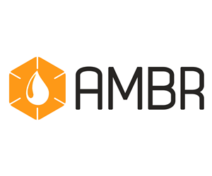 Logo Design by immyjed
