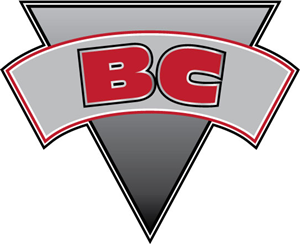 Logo Design by Kings Bishop Design for this project | Design: #122652