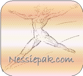 Logo Design by misbah for this project | Design #1029261