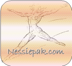 Design de Logo par misbah pour ce projet | Design : #1029261