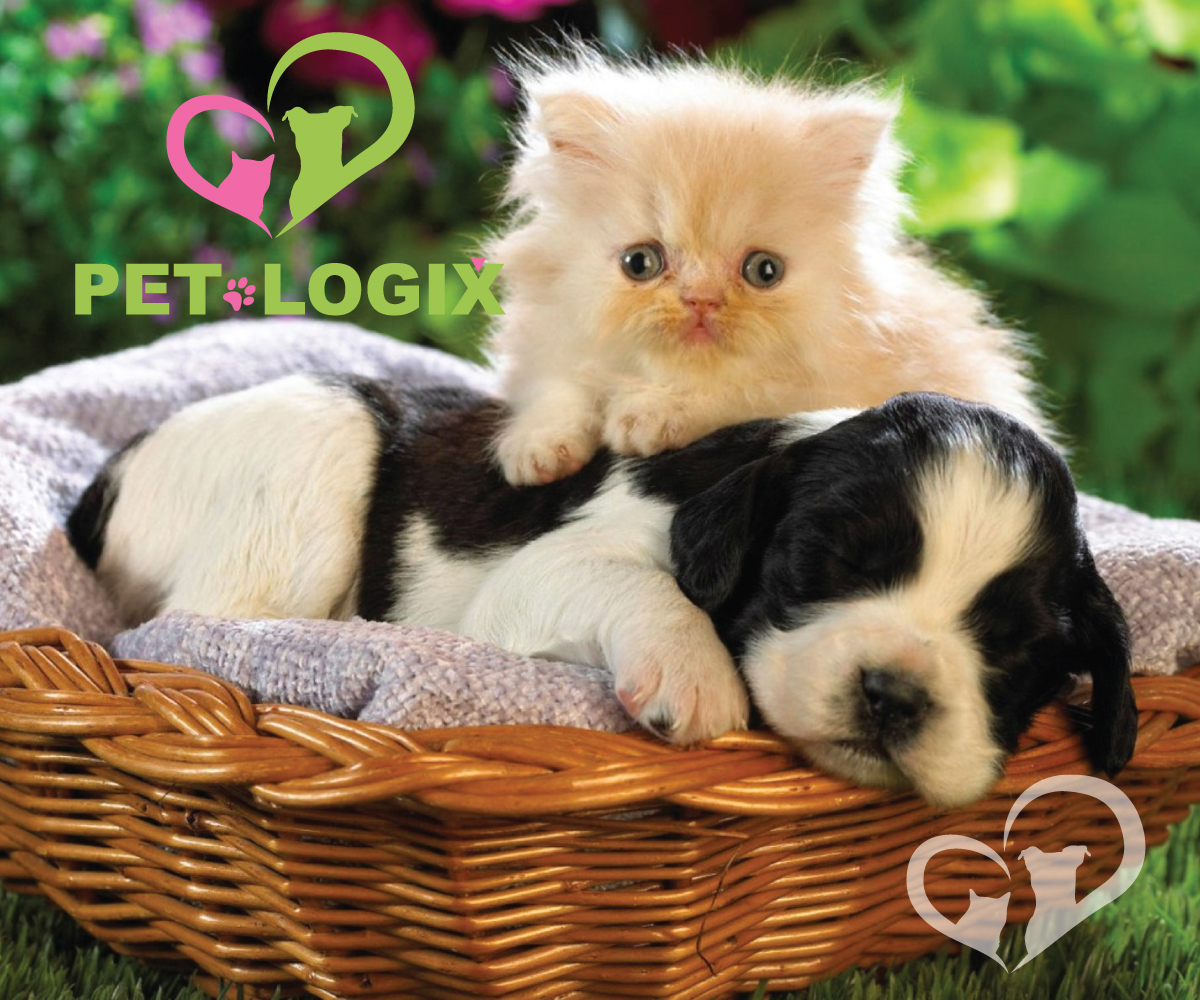 Logo Design by AizerDS for Pet-Logix | Design #3754499