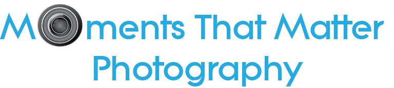 Logo Design by Loredana D. for this project | Design #3759812