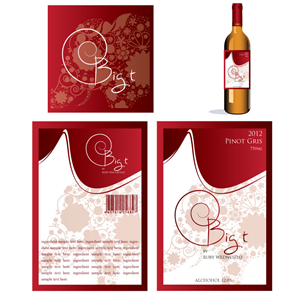 Graphic Design by Bling Connect Ink for this project | Design: #999947