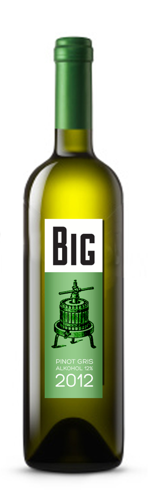 Graphic Design by sziareka for this project | Design: #1020080