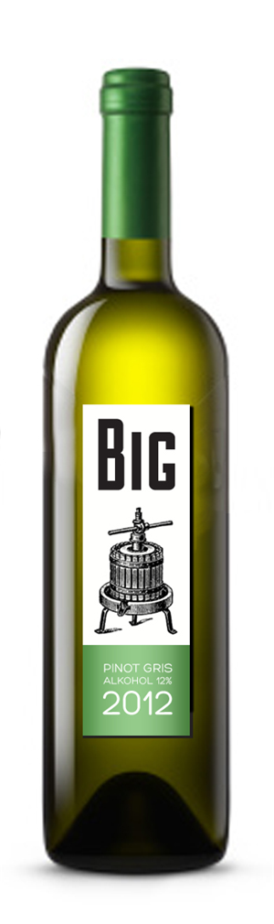 Graphic Design by sziareka for this project | Design: #1020086