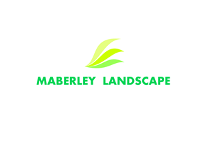Logo Design by gidd