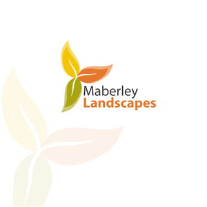 Diseño de Logo por Phenex Designs para mmINC Pty Ltd | Diseño #990974