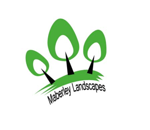 Logo Design by zerep