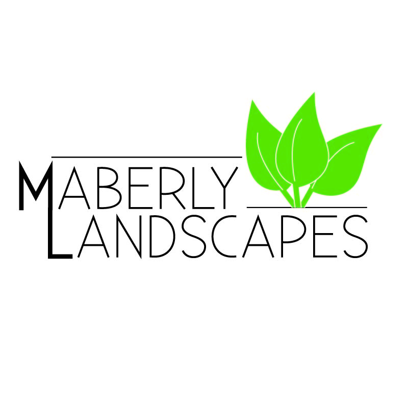 Design de Logo par RML1974 pour mmINC Pty Ltd | Design #991812