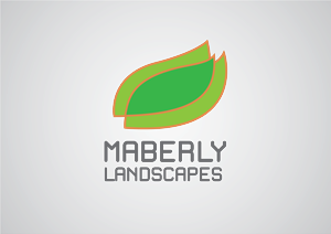 Design de Logo par Samdorcas pour mmINC Pty Ltd | Design : #995825