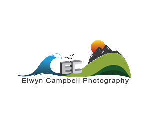 Logo Design by Roy