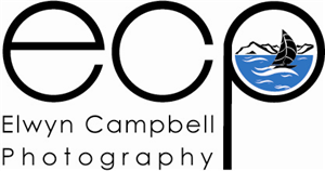 Logo Design by J3Art&Design for this project | Design: #3806196