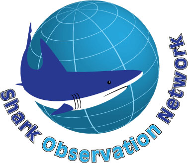 Logo Design by Kings Bishop Design for this project | Design #123050