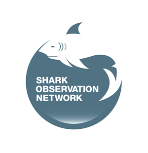 Logo Design by Endeavour Creative