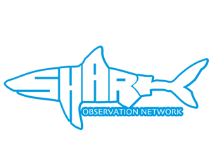 Logo Design by Kustom Deluxe Printing and Design