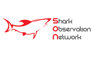 Logo Design by Deng
