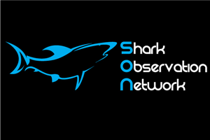 Logo Design by Deng for this project | Design: #119533