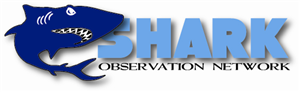 Logo Design by Gekko Web Design