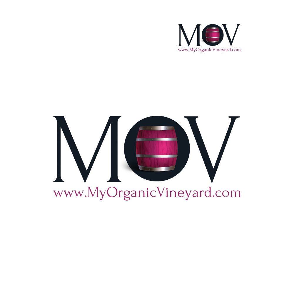 Logo Design by aDesigner for this project | Design #1009919