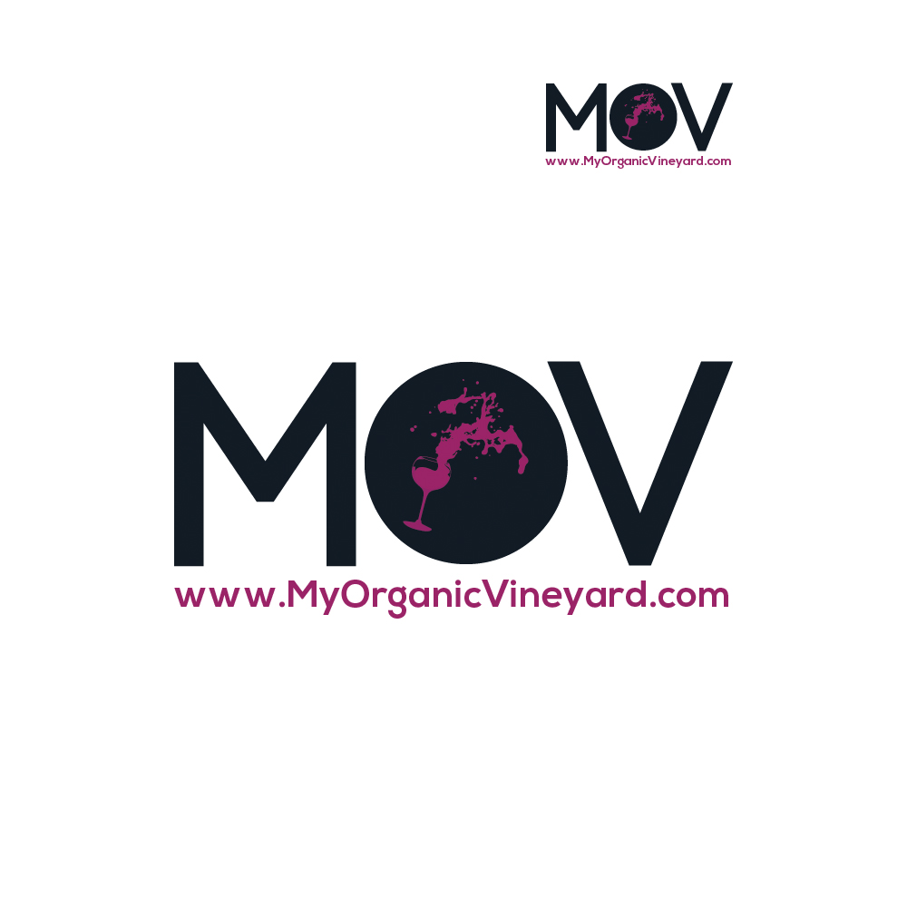 Logo Design by aDesigner for this project | Design #1009921