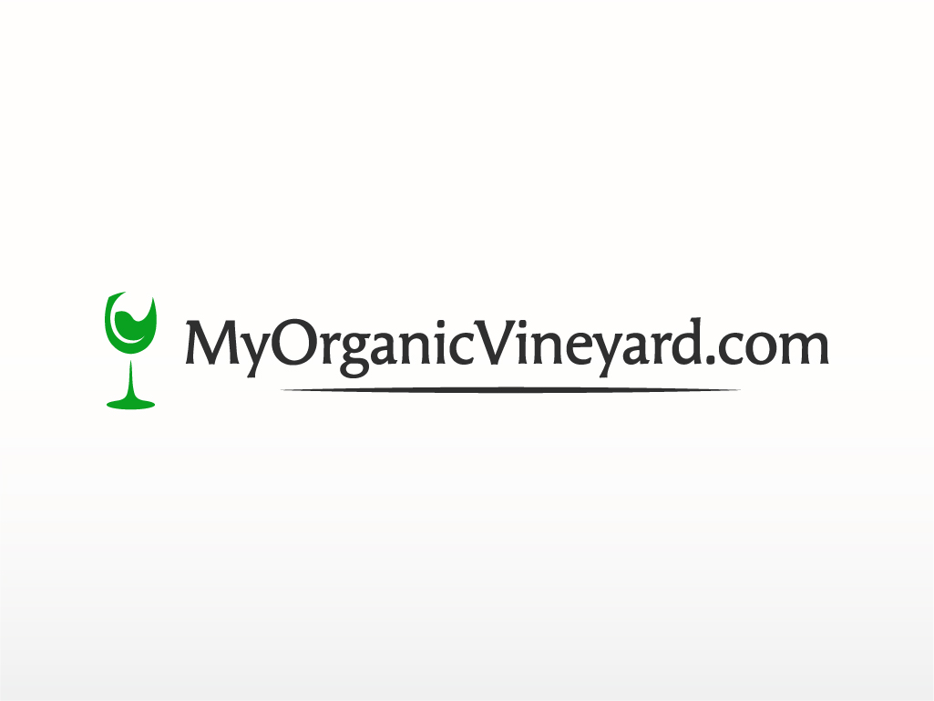 Logo Design by dynamo graphics for this project | Design #1025995