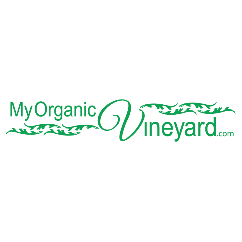 Logo Design by misaelmtz for this project | Design #991474