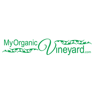 Logo Design by misaelmtz