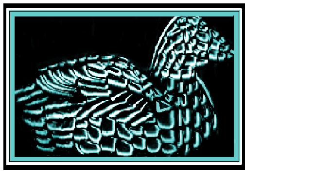 Logo Design by GD Productions for this project | Design #1016842