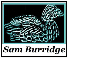 Logo Design by GD Productions for this project | Design: #1016935