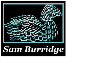 Logo Design by GD Productions for this project | Design: #1017007