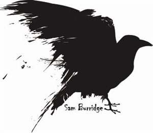 Logo Design by Gekko Web Design