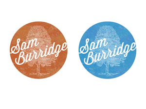 Logo Design by Design Astronaut