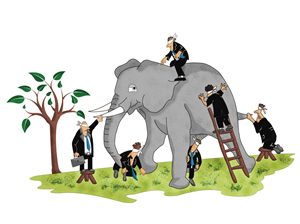 Illustration Design by Stefan Dragos