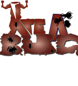 T-shirt Design by Queenzgate for Butterfly Skye | Design: #1046924