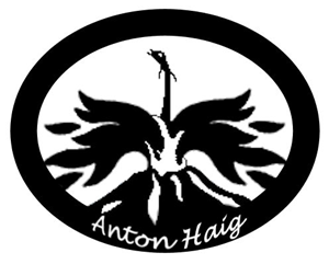 Logo Design by JosephD