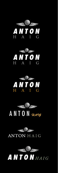 Logo Design by proant88