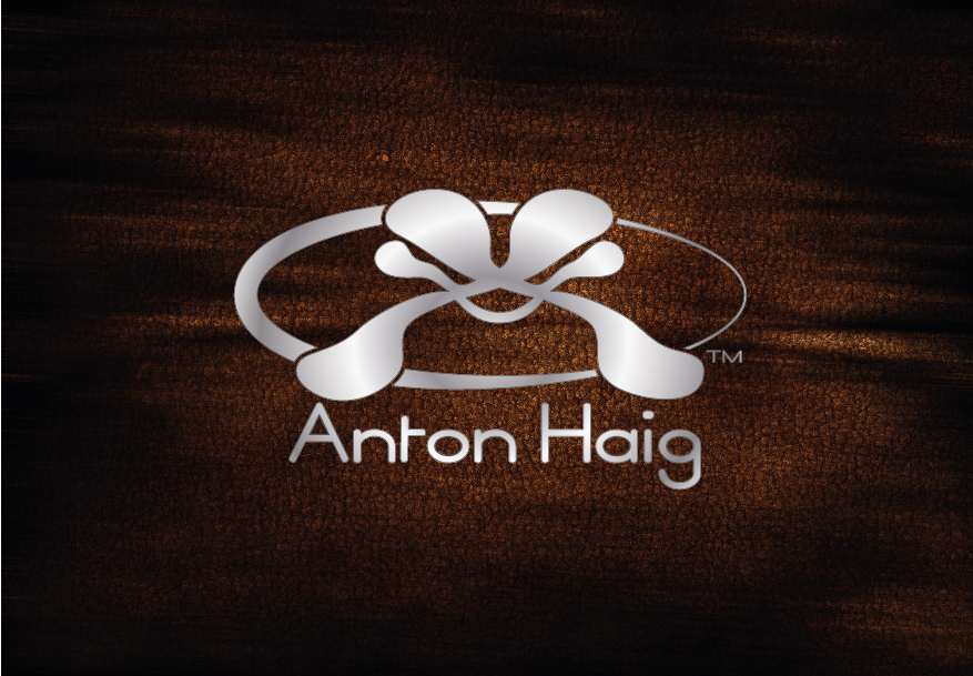 Logo Design by Gabetz for this project | Design #1001454