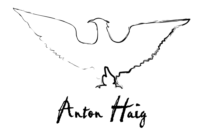 Logo Design by emadrid for this project | Design #1001533