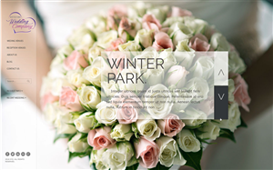 Wordpress Design by Sana Ishaq for this project | Design: #3798439