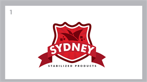 Logo Design by ESolz Technologies