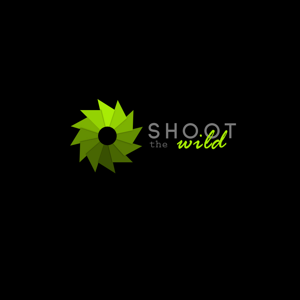 Logo Design by Karolin for Shoot The Face | Design #3815811