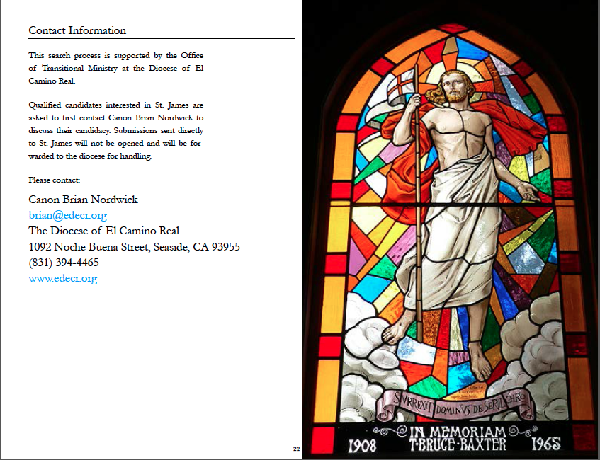 Brochure Design by sara.morales912 for this project | Design #3783228