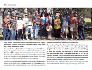 Broschüren-Design von sara.morales912 für dieses Projekt | Design: #3783276